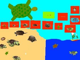 Turtle Clicker! 1