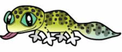 Gecko kaliedo
