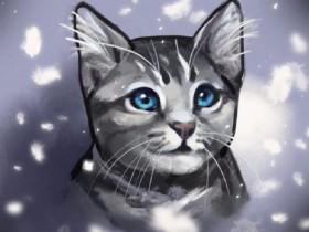 calling all skyclan cats
