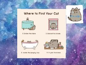 where to find your cat