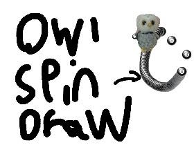 owl Spin Draw!