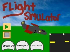 plane simulator 1