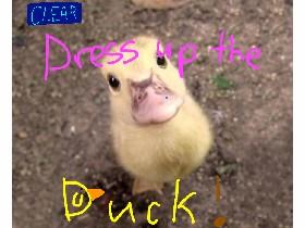 Dress Up Duck!!