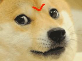 Chat with Mr. Doge 1