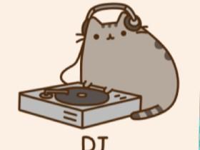 DJ pussen the cat