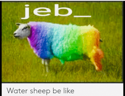 WATER SHEEP