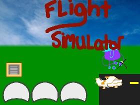 Flight Simulator 1🦋🦋🦋🦜🦜🦜🦜