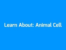 Learn About: Animal Cell
