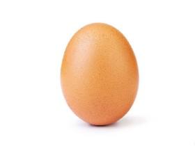 1000000 likes instagram the egg 1
