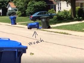 Waste Your Time Looking At This Poor Trash Can That Fell Cause Of The Wind (woah sound!) UwU