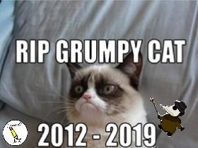 Rip Grumpy Cat age seven 1