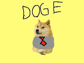 Doge Life 1