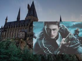 Harry Potter Trivia!!!