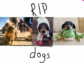 Rip dogs