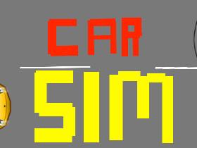 Car Sim RELEASED 1 - copy