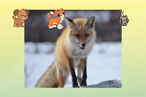What Does The Fox Say Remix  1 1 1 for danny barie remix