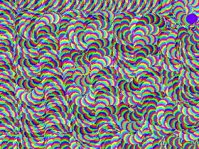 Rainbow spiny