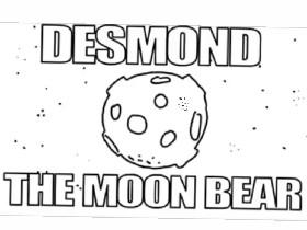Desmond the Moon Bear 1