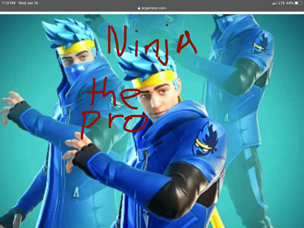 awsome ninja