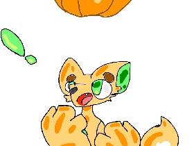 Pumpkin![meme]