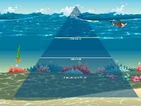 Ocean Ecological Pyramid 3