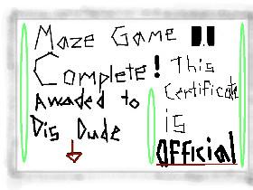 The Crazy Fast Maze Game 1 1 - copy 2