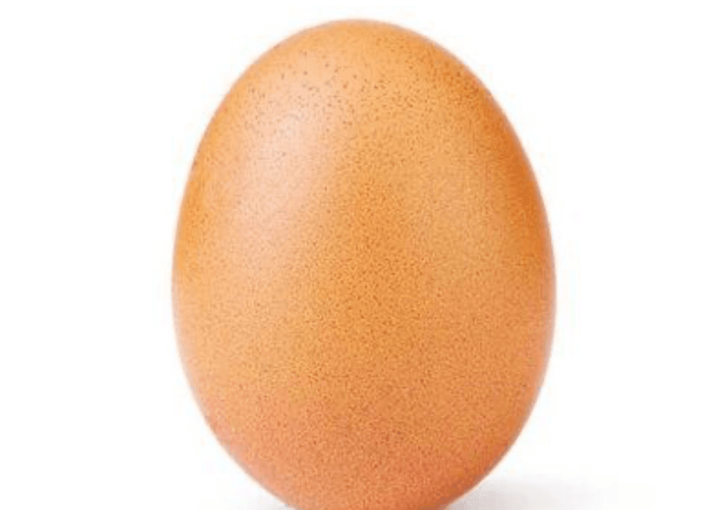 get this egg to be famous on tynker 1