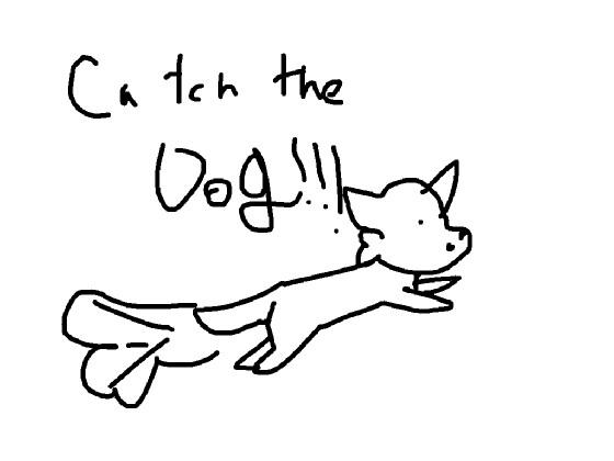 catch the dog!