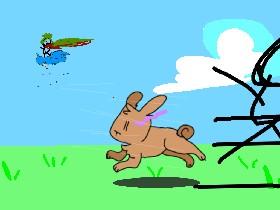 Bunny Run+Animation 1