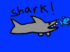 Shark!yeet 1