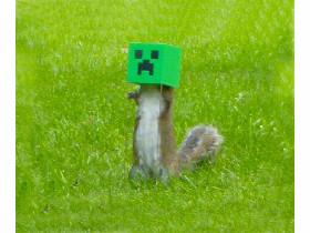 Creeper Aw Man By :Awesome