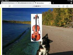 Violin doggo
