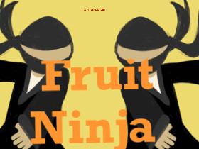 Fruit Ninja by otters codes