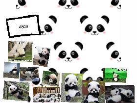 panda clicker by isabella A
