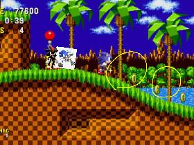 Sonic the hedgehog race