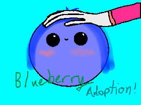 Blueberry Adoption