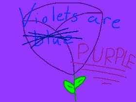 Violets Are Purple.
