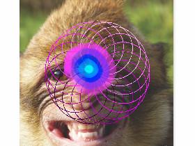 Spiral monkey