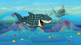 My Story 1 Save the Whale Shark