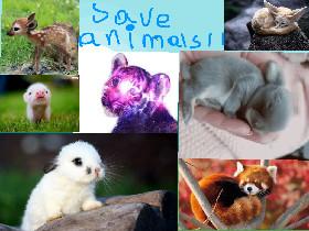 save animals