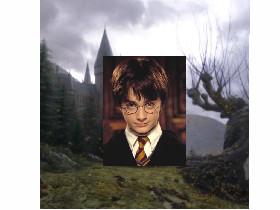 Harry Potter trivia 1 1
