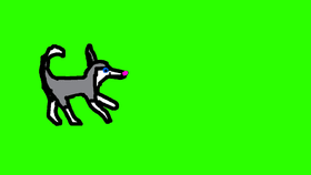 Husky Chasing a Squirrel Animation