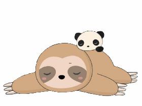 sloth or panda?