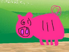 Doofy,Chubby Pig