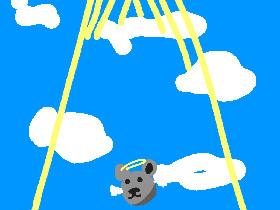 Koala Goes To Heaven
