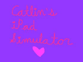 Catlin’s iPad Simulator
