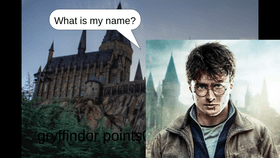 Harry Potter trivia30