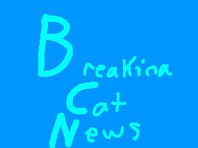 BREAKING CAT NEWS