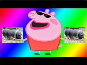 we will rock you  peppa pig 2
