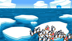 hello penguins